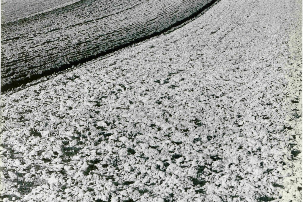 Karol Kállay – fotografie